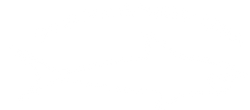 SHARK SHIRT USA