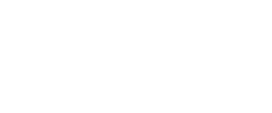SHARK SHIRT USA